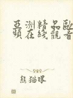 亚洲精品欧美视频在线观看封面