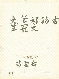 文笔好的古代重生宠文