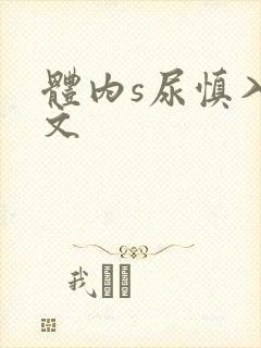 体内s尿慎入h文