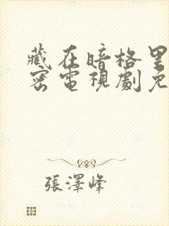 藏在暗格里的秘密电视剧免费观看封面