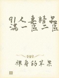 91人妻精品丰满一区二区封面