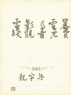 电影《雪暴》在线观看免费封面