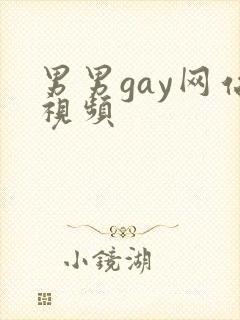 男男gay网站视频