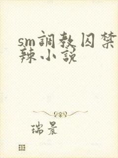sm调教囚禁高辣小说