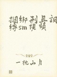 捆绑刑具调教束缚sm视频