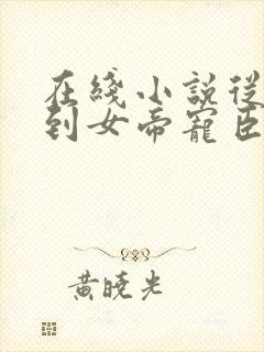 在线小说从赘婿到女帝宠臣