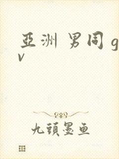 亚洲 男同 gv封面