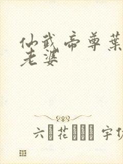 仙武帝尊叶辰的老婆