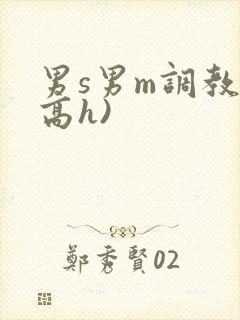 男s男m调教(高h)