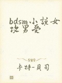 bdsm小说女攻男受封面