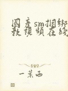 国产sm捆绑调教视频在线观看封面