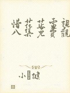惜花芷电视剧第八集免费观看