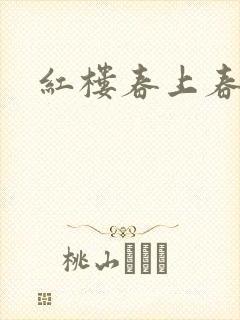 红楼春上春封面