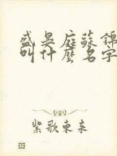 盛晏庭苏锦小说叫什么名字