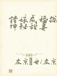 错嫁成婚总裁的神秘甜妻