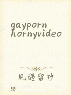 gaypornhornyvideo