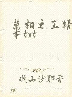 万相之王精校全本txt封面
