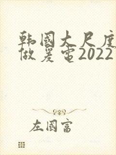 韩国大尺度激情做爰电2022封面