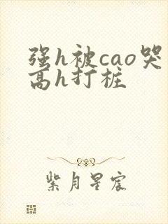 强h被cao哭高h打桩封面