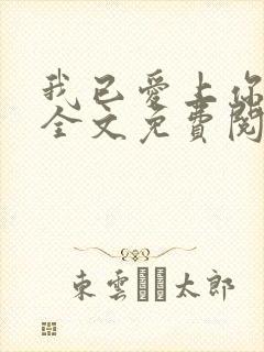 我已爱上你小说全文免费阅读txt封面