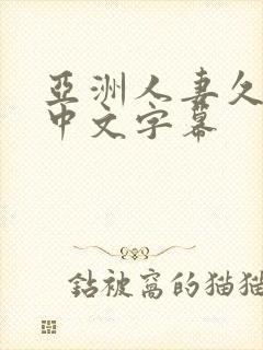 亚洲人妻久久久中文字幕