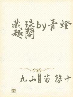 藏珠by青灯笔趣阁