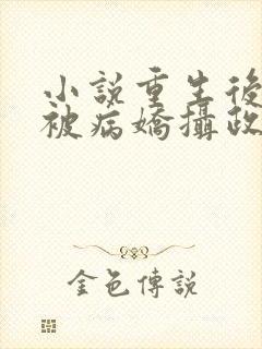 小说重生后,我被病娇摄政王缠上了txt下载