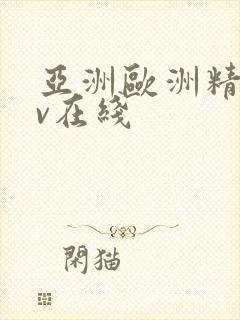 亚洲欧洲精品av在线
