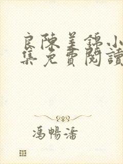 良陈美锦小说全集免费阅读