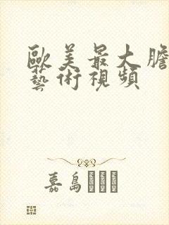 欧美最大胆人体艺术视频封面