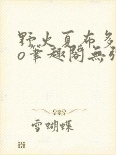 野火夏布多昂po笔趣阁无弹窗封面