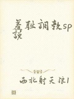 羞耻调教sp小说封面