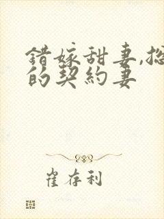错嫁甜妻,总裁的契约妻