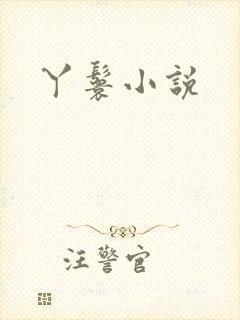 丫鬟小说