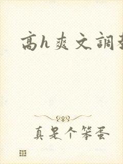高h爽文调教封面
