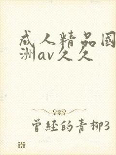 成人精品国产亚洲av久久