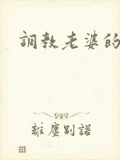 调教老婆的日常封面