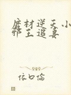 废材逆天小姐之邪王追妻