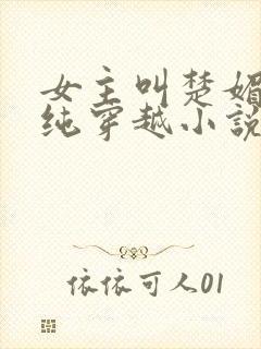 女主叫楚媚的清纯穿越小说