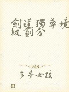 剑道独尊境界等级划分封面