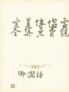 完美伴侣电视剧全集免费观看下载