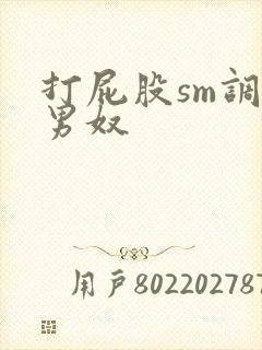 打屁股sm调教男奴