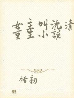 女主叫沈清梨的重生小说