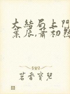 大结局上门龙婿叶辰,萧初然章节