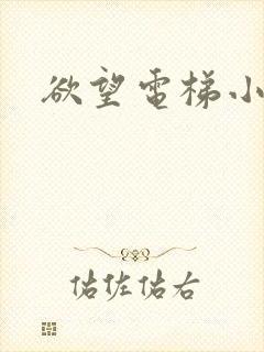 欲望电梯小说
