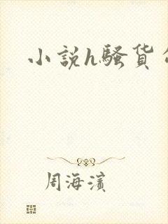 小说h骚货勾引
