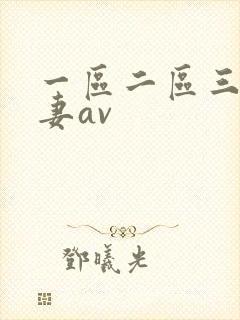 一区二区三区人妻av