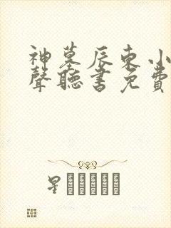 神墓辰东小说有声听书免费