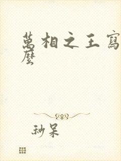 万相之王写的什么