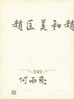 赵匡美和赵匡胤